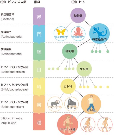 子種|種 (分類学)